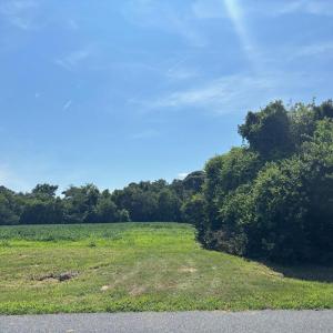 Photo #10 of 8T HUNGARS POINT, MACHIPONGO, VA 8.1 acres