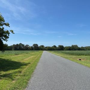 Photo #11 of 8T HUNGARS POINT, MACHIPONGO, VA 8.1 acres