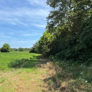 Photo #14 of 8T HUNGARS POINT, MACHIPONGO, VA 8.1 acres