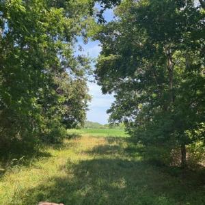 Photo #15 of 8T HUNGARS POINT, MACHIPONGO, VA 8.1 acres