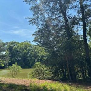 Photo #16 of 8T HUNGARS POINT, MACHIPONGO, VA 8.1 acres