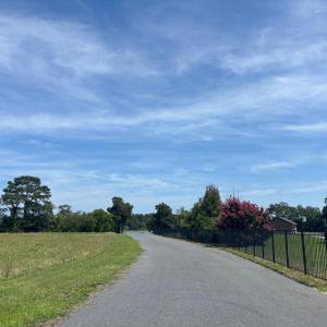 Photo #26 of 8T HUNGARS POINT, MACHIPONGO, VA 8.1 acres