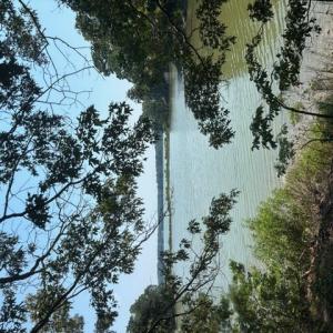 Photo #30 of 8T HUNGARS POINT, MACHIPONGO, VA 8.1 acres