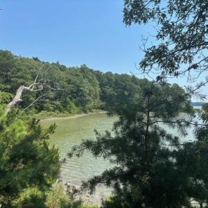 Photo #31 of 8T HUNGARS POINT, MACHIPONGO, VA 8.1 acres