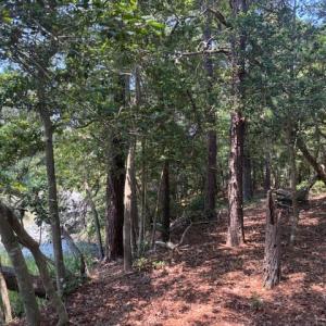 Photo #5 of 8T HUNGARS POINT, MACHIPONGO, VA 8.1 acres