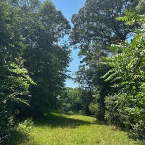 Photo #7 of 8T HUNGARS POINT, MACHIPONGO, VA 8.1 acres