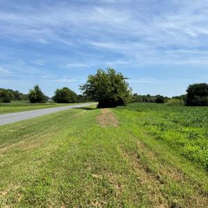 Photo #20 of 8T HUNGARS POINT, MACHIPONGO, VA 8.1 acres