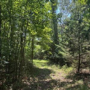 Photo #9 of 8T HUNGARS POINT, MACHIPONGO, VA 8.1 acres