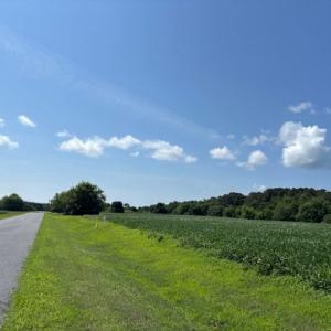 Photo #11 of 8T HUNGARS POINT, MACHIPONGO, VA 8.1 acres