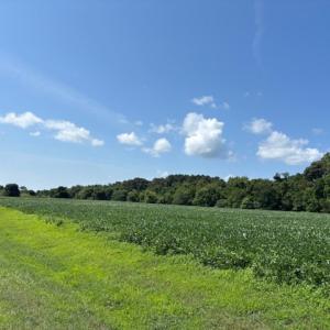 Photo #12 of 8T HUNGARS POINT, MACHIPONGO, VA 8.1 acres