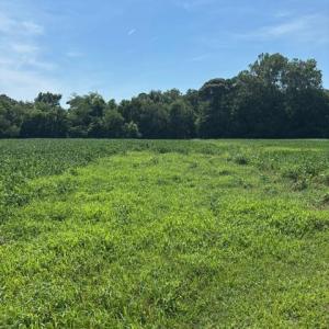 Photo #25 of 8T HUNGARS POINT, MACHIPONGO, VA 8.1 acres