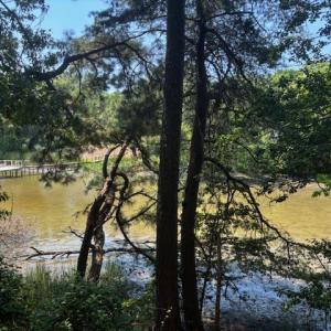 Photo #6 of 8T HUNGARS POINT, MACHIPONGO, VA 8.1 acres