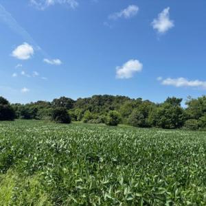 Photo #13 of 8T HUNGARS POINT, MACHIPONGO, VA 8.1 acres