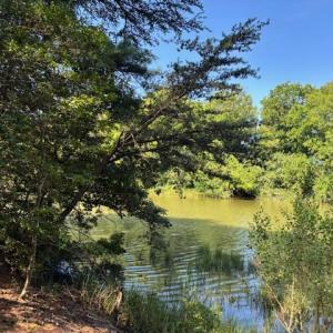 Photo #5 of 8T HUNGARS POINT, MACHIPONGO, VA 8.1 acres