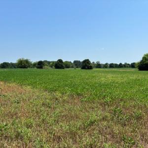 farm land