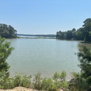Photo #2 of 8T HUNGARS POINT, MACHIPONGO, VA 8.1 acres