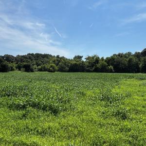 Photo #24 of 8T HUNGARS POINT, MACHIPONGO, VA 8.1 acres