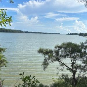 Photo #3 of 8T HUNGARS POINT, MACHIPONGO, VA 8.1 acres