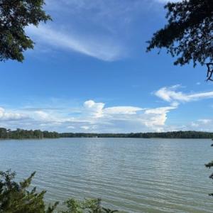 Photo #6 of 8T HUNGARS POINT, MACHIPONGO, VA 8.1 acres