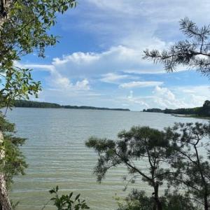 Photo #8 of 8T HUNGARS POINT, MACHIPONGO, VA 8.1 acres