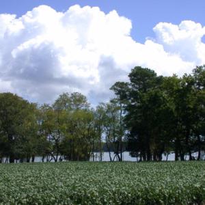 Photo #5 of Lot 17 SHOOTING POINT DR, MACHIPONGO, VA 43.0 acres