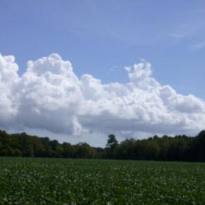 Photo #6 of Lot 17 SHOOTING POINT DR, MACHIPONGO, VA 43.0 acres