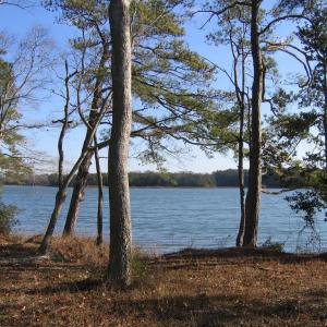 Photo #8 of Lot 17 SHOOTING POINT DR, MACHIPONGO, VA 43.0 acres