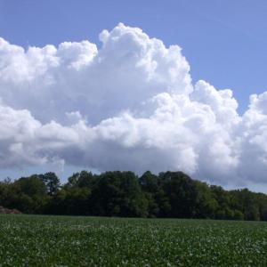 Photo #11 of Lot 17 SHOOTING POINT DR, MACHIPONGO, VA 43.0 acres