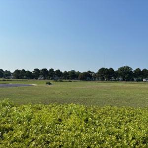 Photo #8 of 2 LAKE POINT CT, CAPE CHARLES, VA 0.2 acres