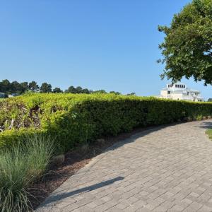 Photo #7 of 2 LAKE POINT CT, CAPE CHARLES, VA 0.2 acres