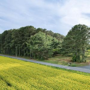 Photo #8 of Lot E SPARROW POINT RD, MACHIPONGO, VA 1.9 acres