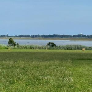 Photo #11 of 12 BAY VIEW LANE, ATLANTIC, VA 153.0 acres