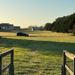 Common Property