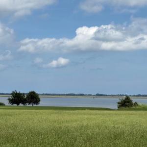 Photo #9 of 12 BAY VIEW LANE, ATLANTIC, VA 153.0 acres