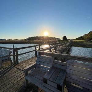 Dock