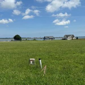 Photo #11 of 21 OYSTER COVE LANE, ATLANTIC, VA 180.0 acres