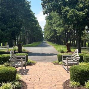 Photo #16 of Lot 14 CORBIN HALL LN, HORNTOWN, VA 150.0 acres