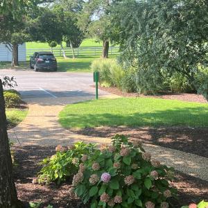 Photo #19 of Lot 14 CORBIN HALL LN, HORNTOWN, VA 150.0 acres