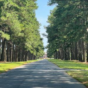 Photo #20 of Lot 14 CORBIN HALL LN, HORNTOWN, VA 150.0 acres