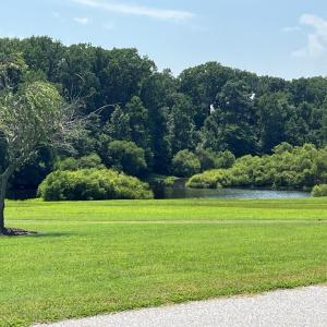 Photo #22 of Lot 14 CORBIN HALL LN, HORNTOWN, VA 150.0 acres
