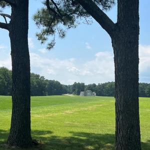 Photo #23 of Lot 14 CORBIN HALL LN, HORNTOWN, VA 150.0 acres