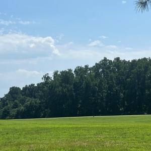 Photo #7 of Lot 14 CORBIN HALL LN, HORNTOWN, VA 150.0 acres