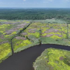 Photo #10 of SAVANNAH RD, TEMPERANCEVILLE, VA 128.2 acres