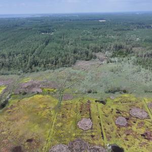 Photo #11 of SAVANNAH RD, TEMPERANCEVILLE, VA 128.2 acres