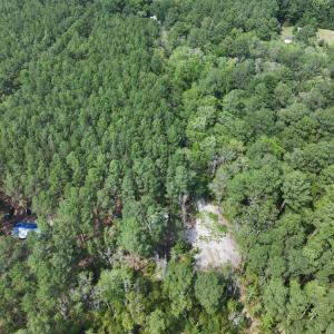 Photo #12 of SAVANNAH RD, TEMPERANCEVILLE, VA 128.2 acres