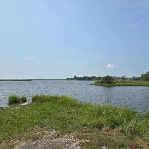 Photo #17 of SAVANNAH RD, TEMPERANCEVILLE, VA 128.2 acres