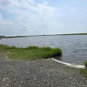 Photo #5 of SAVANNAH RD, TEMPERANCEVILLE, VA 128.2 acres