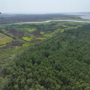 Photo #6 of SAVANNAH RD, TEMPERANCEVILLE, VA 128.2 acres
