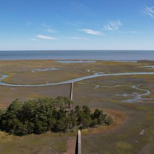 Photo #11 of 20 OYSTER RUN LANE, EASTVILLE, VA 713.0 acres