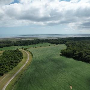 Photo #12 of 20 OYSTER RUN LANE, EASTVILLE, VA 713.0 acres